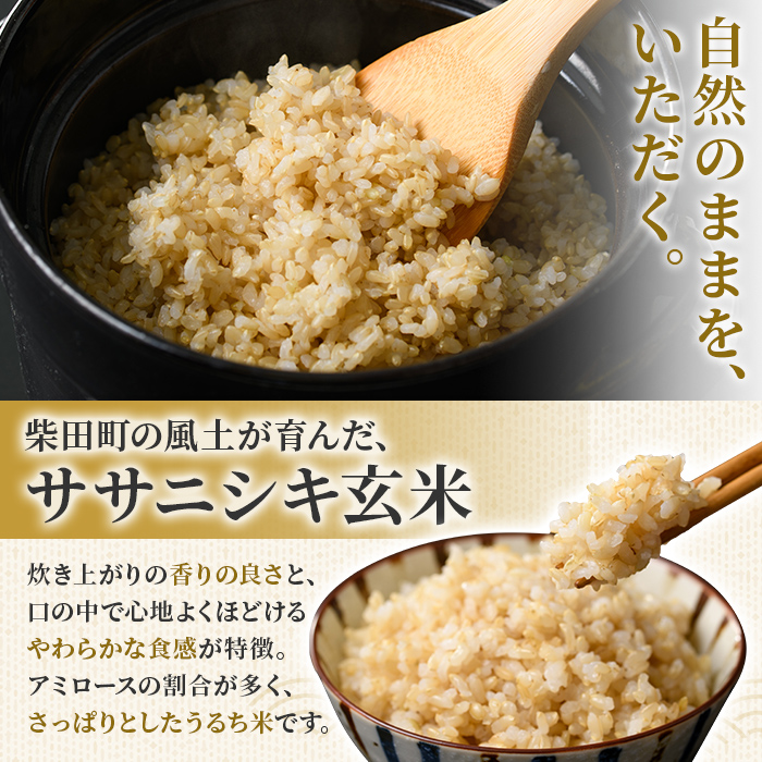 【令和7年産 新米】ササニシキ 玄米 30kg 柴田町産 お米 おこめ 米 コメ ご飯 ごはん おにぎり お弁当 【農業組合法人葉坂希望の郷】sh106