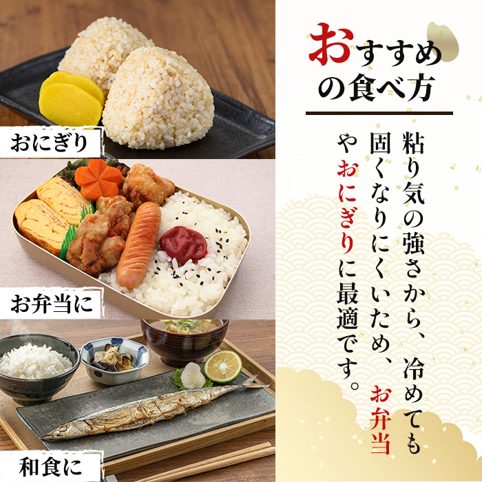 【令和7年産】柴田町産 ひとめぼれ ＜玄米＞ 30kg お米 おこめ 米 コメ 白米 ご飯 ごはん おにぎり 宮城米 令和7年産 お弁当 【下名生ファーム】 sh123