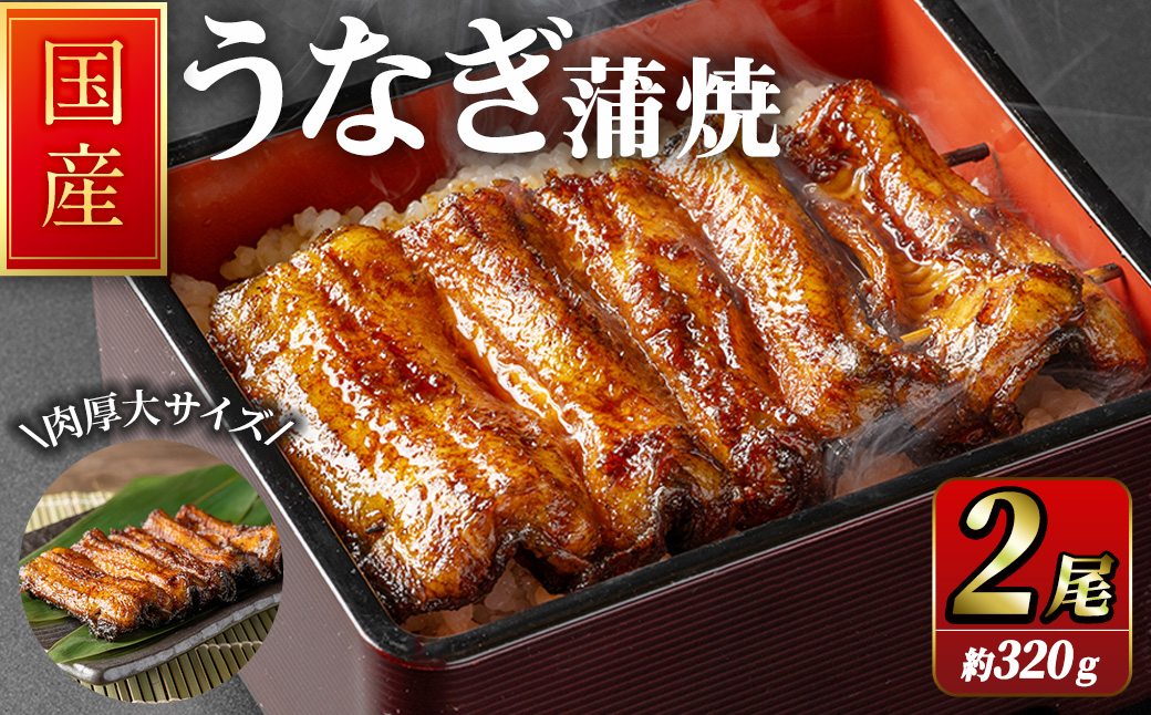職人手焼き 国産うなぎ蒲焼 約160ｇ×2尾 肉厚 大サイズ 特大 鰻 ウナギ 蒲焼き 【逢隈亭】sh127