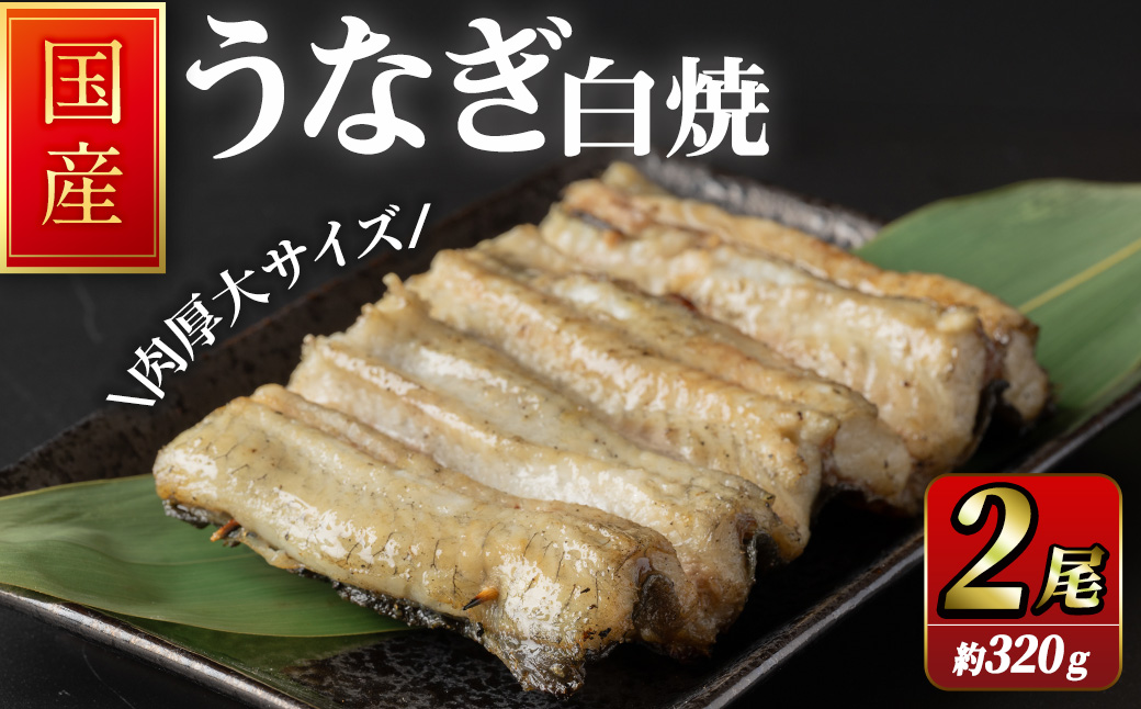 職人手焼き 国産うなぎ白焼 約160ｇ×2尾 肉厚 大サイズ 特大 鰻 ウナギ 白焼【逢隈亭】sh128