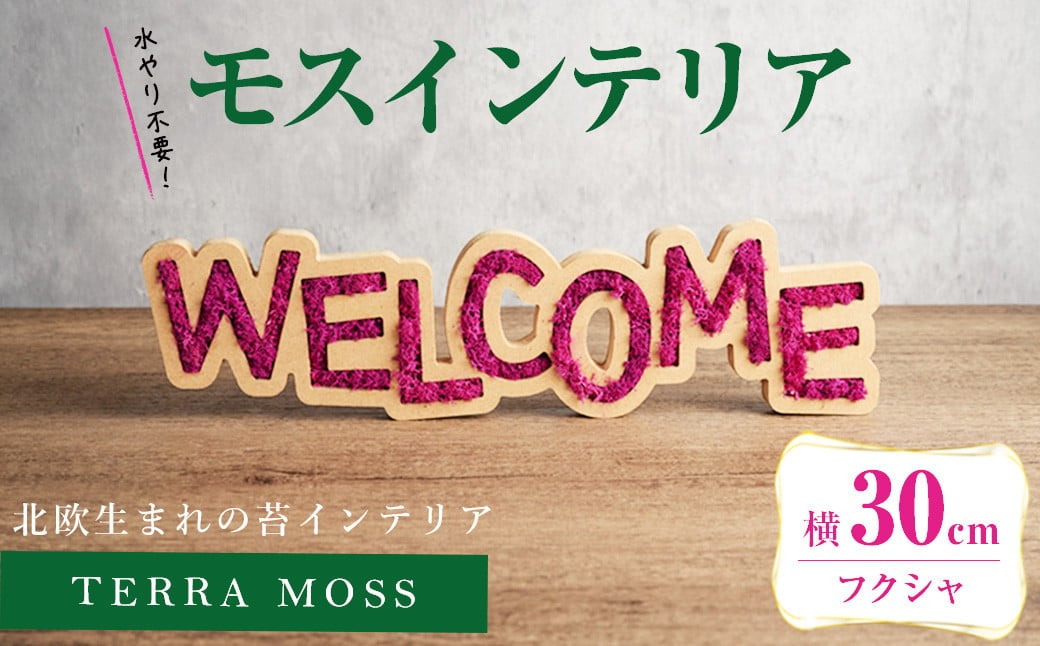 モスインテリア「WELCOME」(フクシャ) ＜横300mm・高さ80mm・幅15mm＞ 観葉植物  苔 コケ テラモス インテリア 植物 【結び】 sh027-A