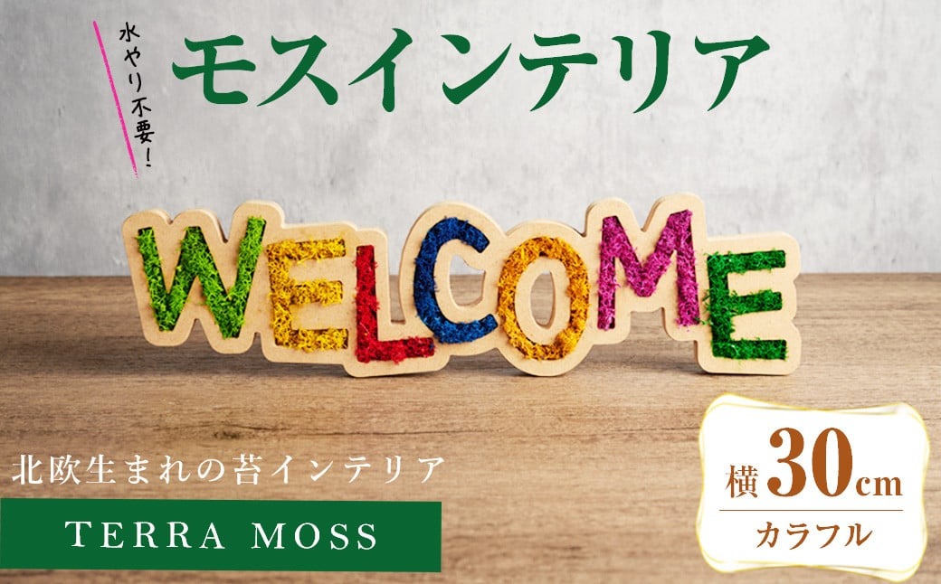 モスインテリア「WELCOME」(カラフル) ＜横300mm・高さ80mm・幅15m＞ 観葉植物  苔 コケ テラモス インテリア 植物 【結び】 sh027-B