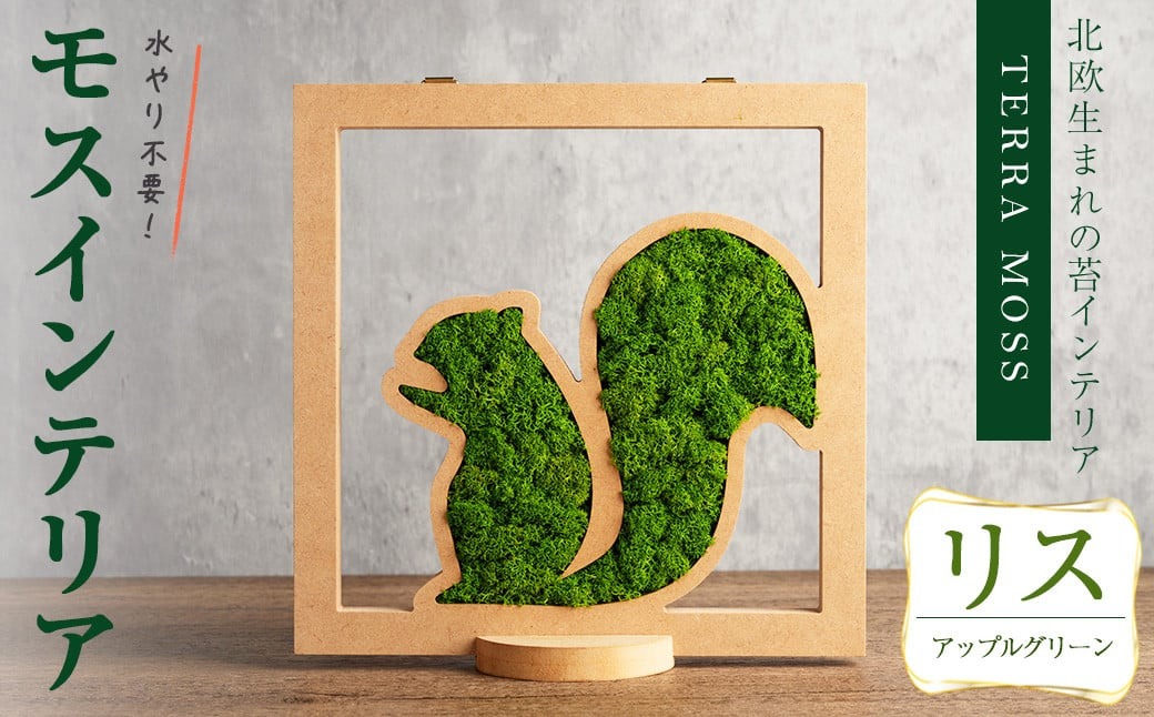 モスインテリア「リス」(アップルグリーン) ＜横200mm・高さ200mm・幅15mm＞ 観葉植物  苔 コケ テラモス インテリア 植物 【結び】 sh028-B