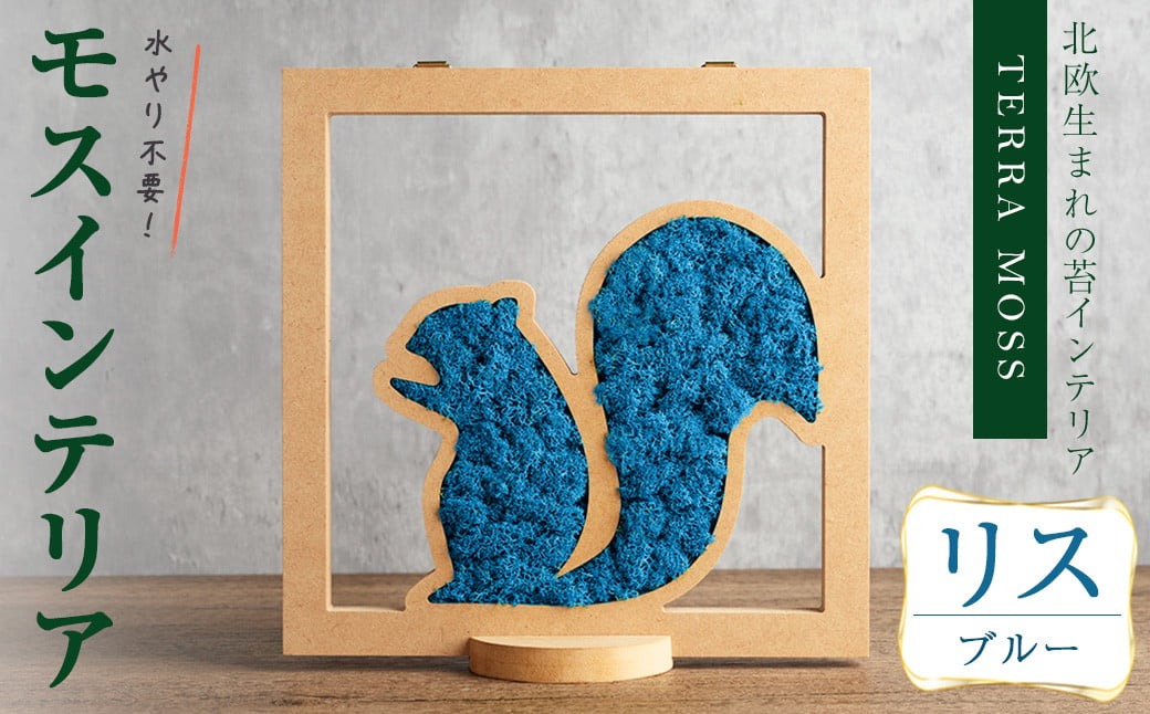 モスインテリア「リス」(ブルー) ＜横200mm・高さ200mm・幅15mm＞ 観葉植物  苔 コケ テラモス インテリア 植物 【結び】 sh028-E