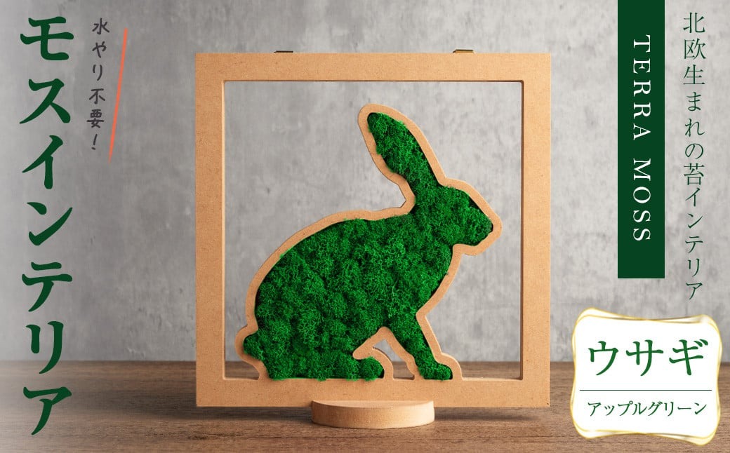 モスインテリア「ウサギ」(アップルグリーン) ＜横200mm・高さ200mm・幅15mm＞ 観葉植物  苔 コケ テラモス インテリア 植物 【結び】 sh029-B