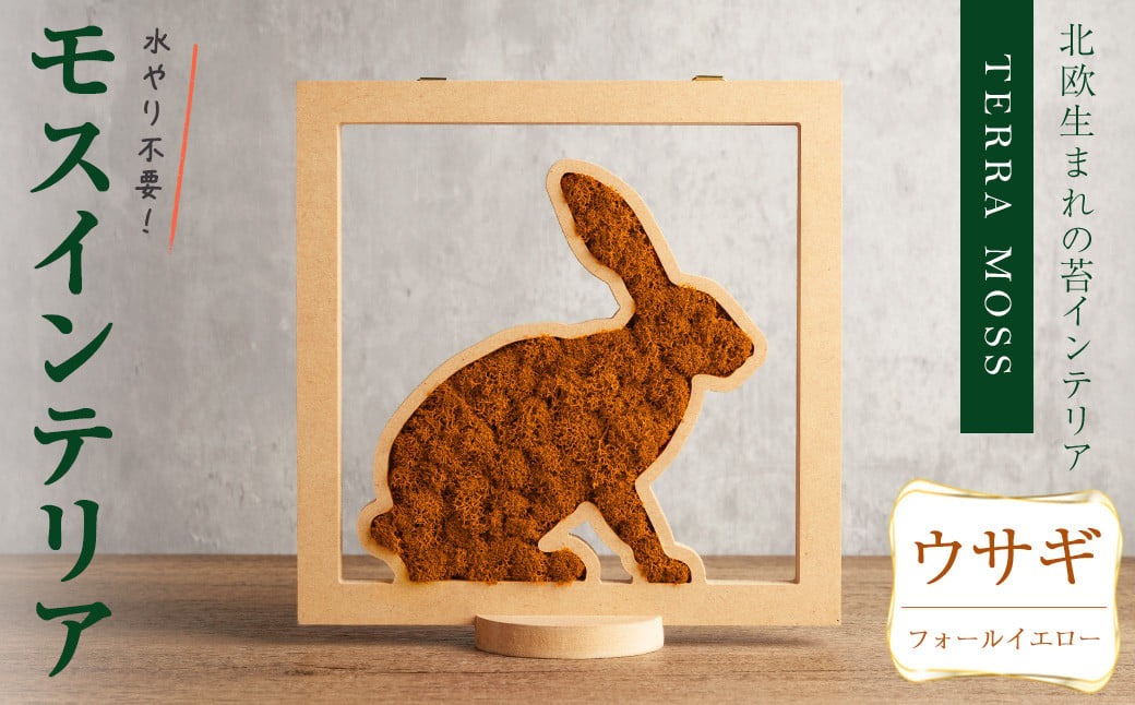 モスインテリア「ウサギ」(フォールイエロー) ＜横200mm・高さ200mm・幅15mm＞ 観葉植物  苔 コケ テラモス インテリア 植物 【結び】 sh029-D