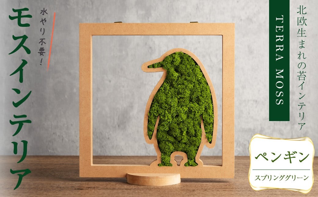 モスインテリア「ペンギン」(スプリンググリーン) ＜横200mm・高さ200mm・幅15mm＞ 観葉植物  苔 コケ テラモス インテリア 植物 【結び】 sh030-A