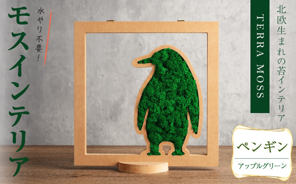 モスインテリア「ペンギン」(アップルグリーン) ＜横200mm・高さ200mm・幅15mm＞ 観葉植物  苔 コケ テラモス インテリア 植物 【結び】 sh030-B