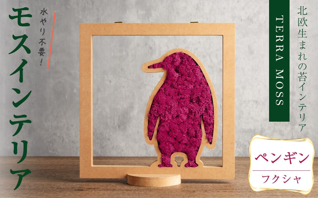 モスインテリア「ペンギン」(フクシャ) ＜横200mm・高さ200mm・幅15mm＞ 観葉植物  苔 コケ テラモス インテリア 植物 【結び】 sh030-C