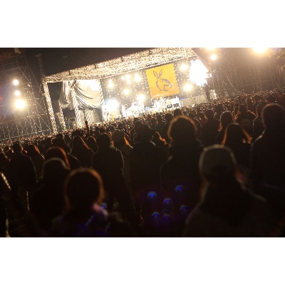 ARABAKI ROCK FEST オフィシャルTシャツA〈ブラック〉Sサイズ