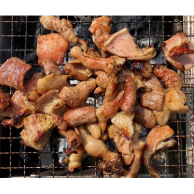 川崎ホルモン 計1kg(500g×2p) (濃厚ニンニク生タレ『甘口付き』)【配送不可地域：離島】