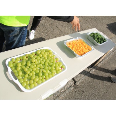 令和7年　川崎レイクサイドマラソン(2人駅伝)