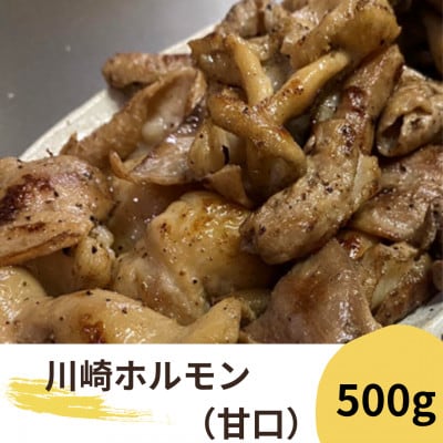 川崎ホルモン500g2～3人前 (濃厚ニンニク生タレ『甘口付き』80cc2～3人前)【配送不可地域：離島】