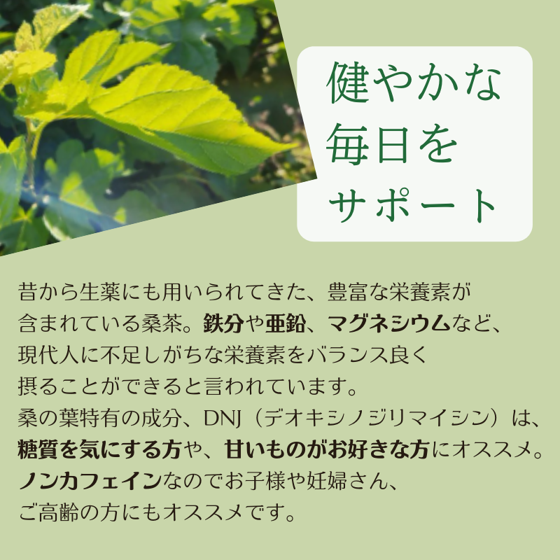 ひっぽの桑茶5袋セット【09109】