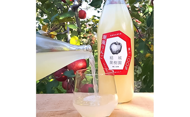 潮風りんごジュース 1L×2本 【結城果樹園】亘理町産 完熟りんご