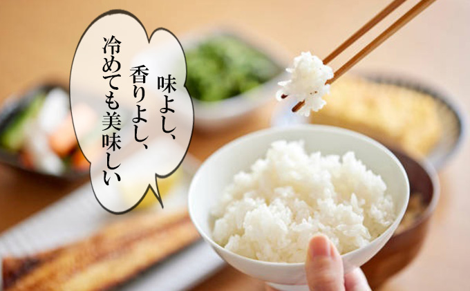 【6ヶ月連続定期便】農家直送！新米 令和7年度産 宮城県亘理町産 ひとめぼれ 10kg(計60kg) お米 ライス 白米 精米 ブランド米 ご飯 炭水化物