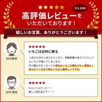 【2月発送】いちご 亘理町のいちご もういっこ 250g × 4パック オンライン決済限定 先行受付中 苺 果物 フルーツ イチゴ セット