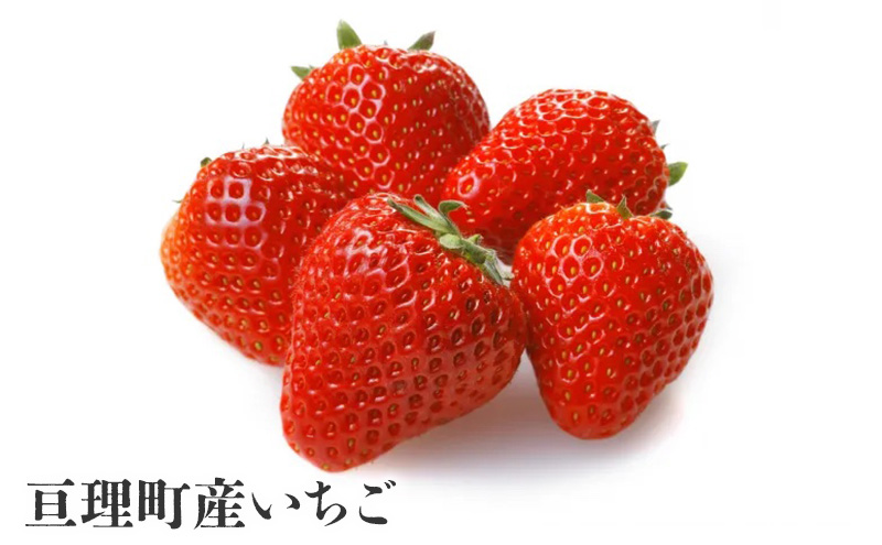 【亘理町いちご産】夢見る乙女2本セット いちごワイン