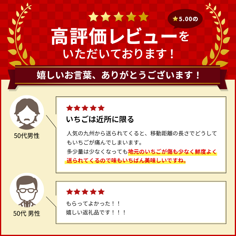 【3月発送】亘理町のいちご もういっこ 250g×4パック オンラ