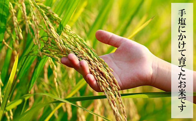 【6ヶ月連続定期便】農家直送！新米 令和7年度産 宮城県亘理町産 ひとめぼれ 10kg(計60kg) お米 ライス 白米 精米 ブランド米 ご飯 炭水化物