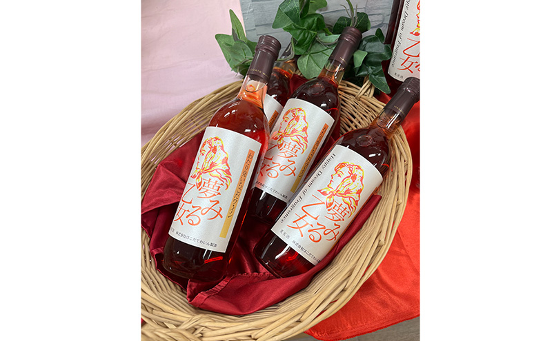 【亘理町いちご産】夢見る乙女2本セット いちごワイン