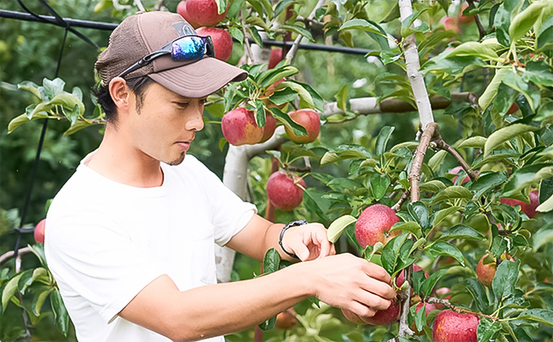 潮風りんごジュース 1L×3本 【結城果樹園】亘理町産 完熟りんご