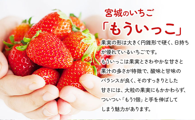 【亘理町産いちご】もういっこ 255g×4パック