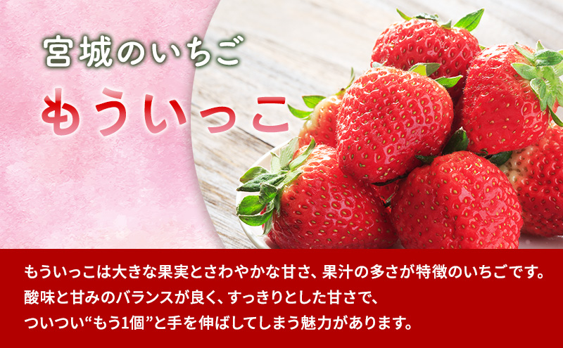【3月発送】亘理町のいちご もういっこ 250g×4パック オンラ