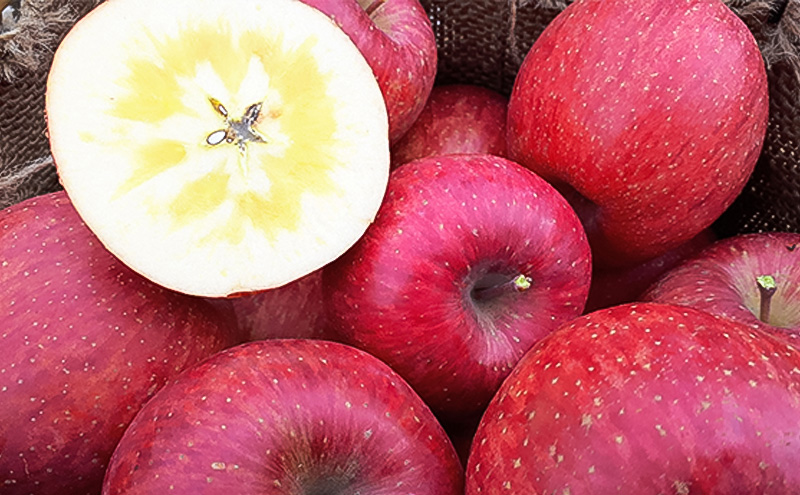 潮風りんごジュース 1L×2本 【結城果樹園】亘理町産 完熟りんご