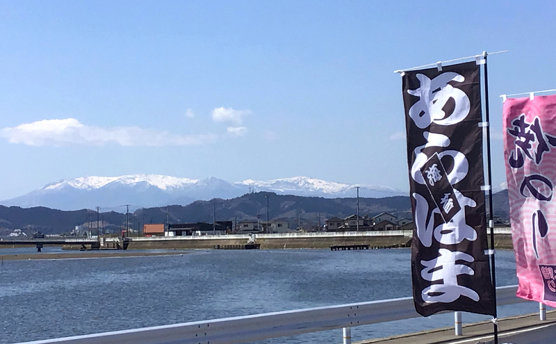 魚介 宮城県荒浜産 冷凍しじみ 600g 砂抜き済・冷凍釜揚げしらす 240g セット しじみ しらす あらはま海苔