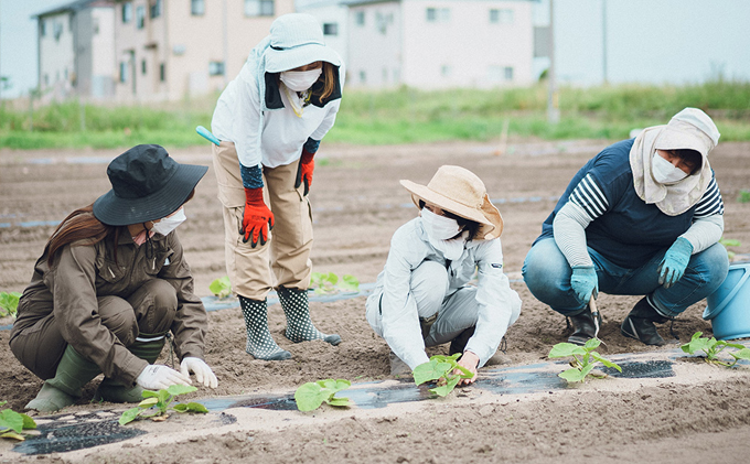 亘理のクッキー 5種セット