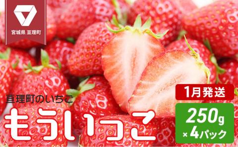【1月発送】いちご 亘理町のいちご もういっこ 250g × 4パック オンライン決済限定 先行受付中！！ 苺 果物 フルーツ イチゴ セット