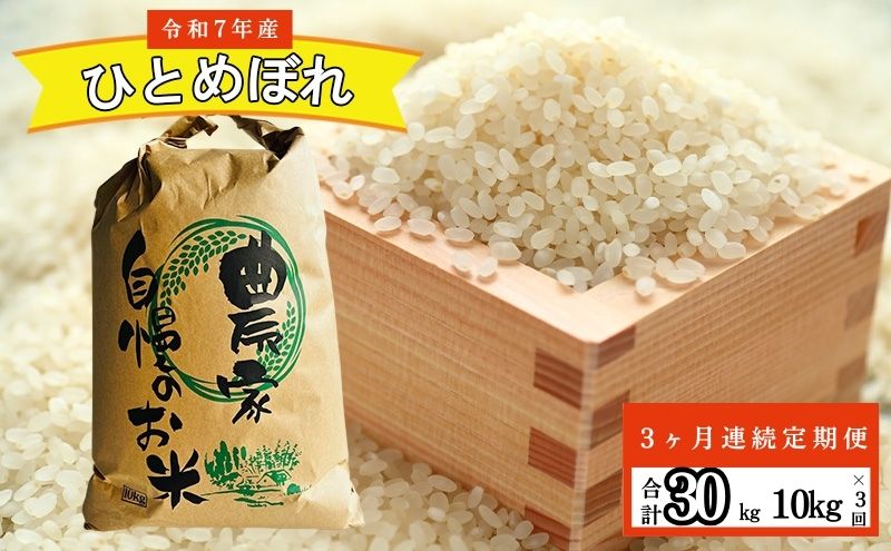 【3ヶ月連続定期便】農家直送！新米 令和7年度産 宮城県亘理町産 ひとめぼれ 10kg(計30kg) お米 ライス 白米 精米 ブランド米 ご飯 炭水化物