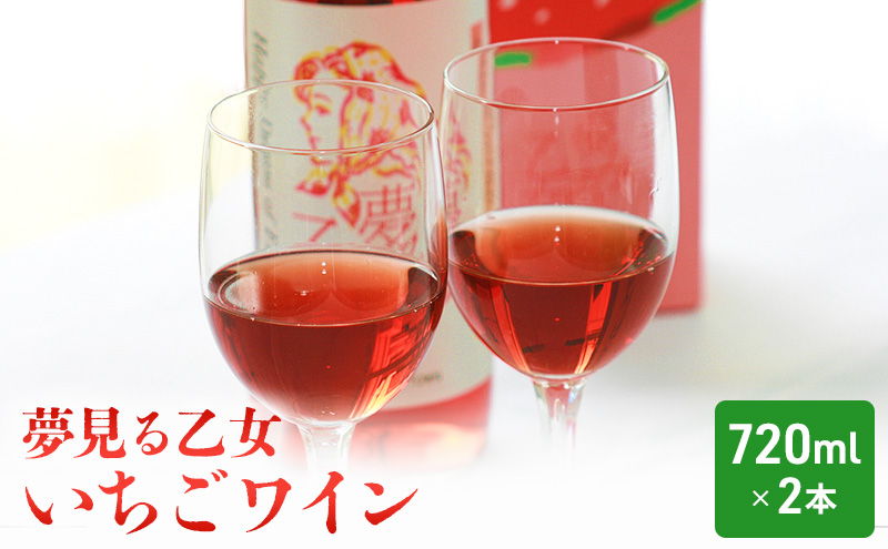【亘理町いちご産】夢見る乙女2本セット いちごワイン