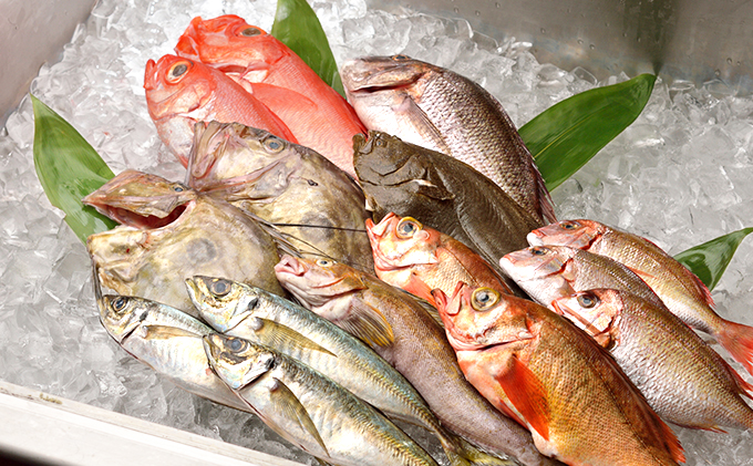 【光勝丸】漁師さんのおまかせ鮮魚セット