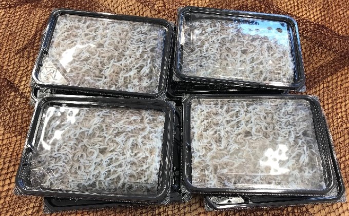 釜揚げしらす（冷凍）80g×8パック＜あらはま海苔＞