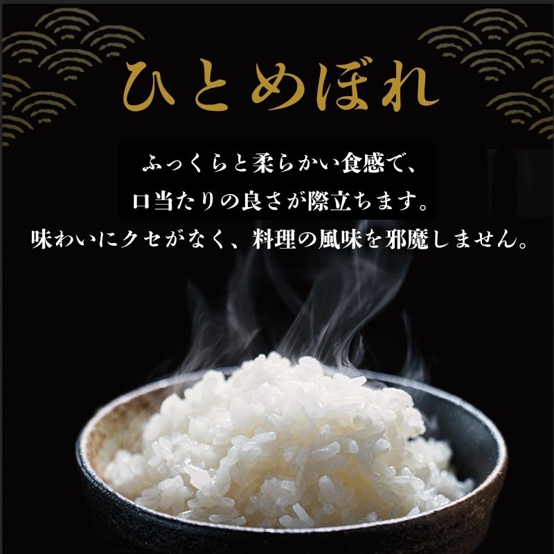 令和7年産新米 ひとめぼれ 20kg 米 亘理町産 玄米 武田農園