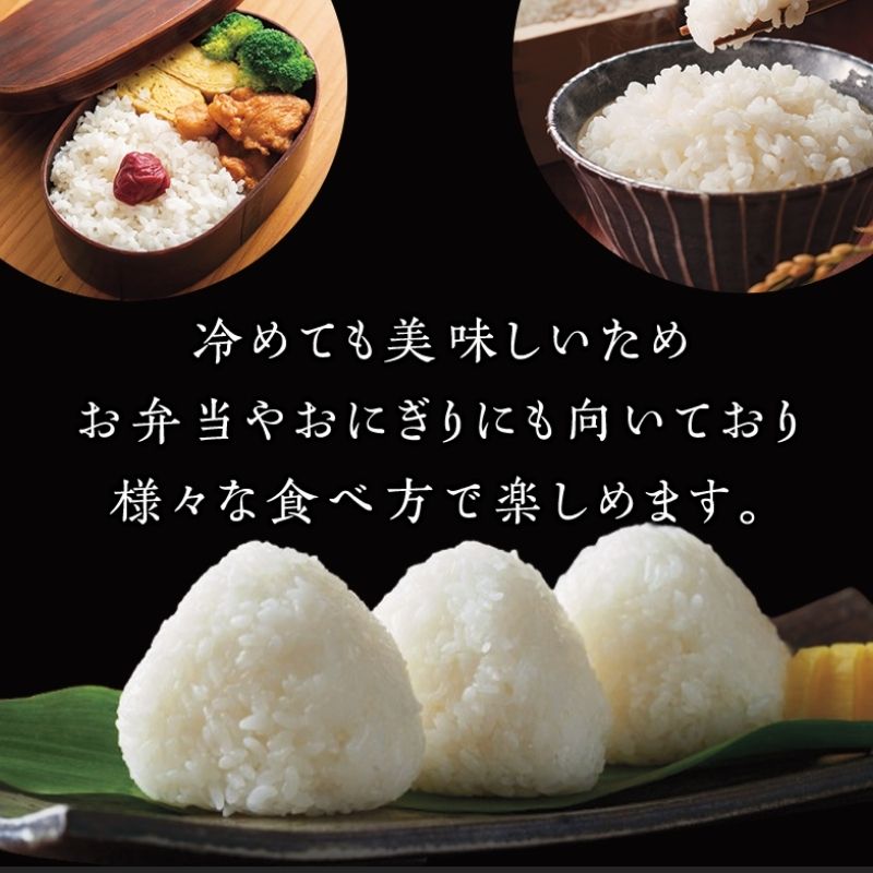 令和7年産新米 つや姫 20kg 米 亘理町産 玄米 武田農園