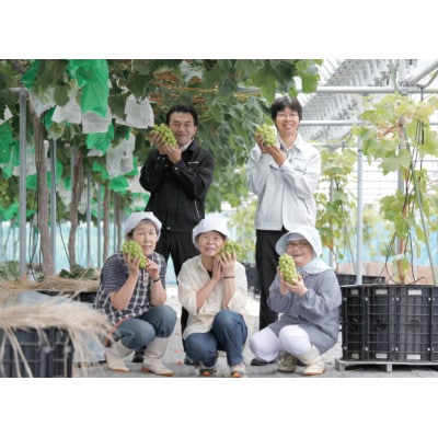 シャインマスカットジュース300ml×2本詰【配送不可地域：離島】