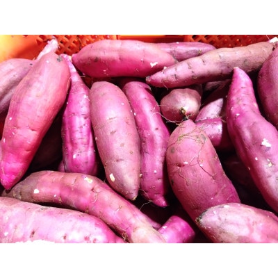 干芋　詰め合わせ120g×6袋(紅はるか3袋　シルクスイート3袋)【配送不可地域：離島】