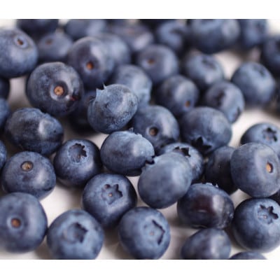 ブルーベリー原液 300ml×2本詰【配送不可地域：離島】