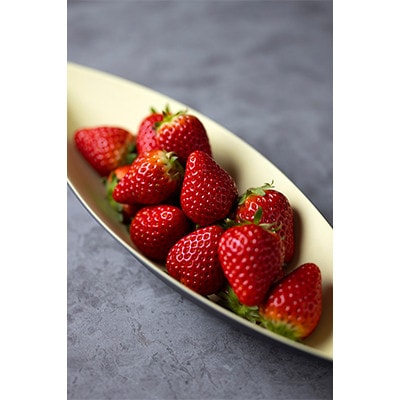 【毎月定期便】ミガキイチゴ・レギュラー(250g×4P)全3回【配送不可地域：離島】