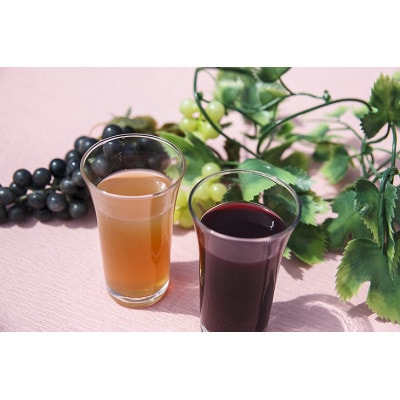 【発送月固定定期便】マルタのきぶどう1000ml×6本入全6回【配送不可地域：離島】