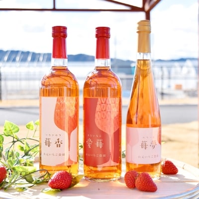 【山元いちご農園】　ワイン詰め合わせセット【配送不可地域：離島】