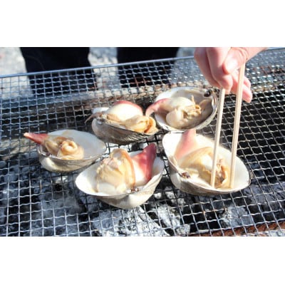 ホッキ貝15個(3～4kg)【宮城県山元町磯浜漁港直送】獲れたての大粒北寄貝をお届けします 刺身でも【配送不可地域：離島】