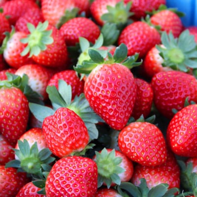 山元いちご農園 4品種食べ比べセット 4パック【配送不可地域：離島・北海道・沖縄県・信越、北陸・近畿・中国・四国・九州】