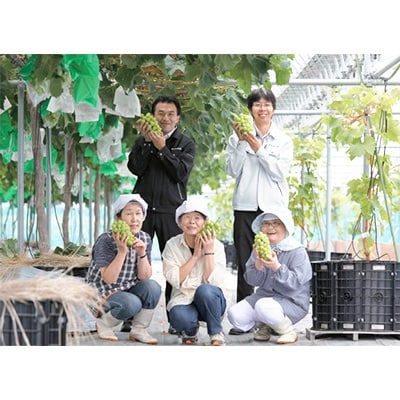 【2025年　秋発送分】～シャインマスカット～　約600g　Domaine MARUTA【配送不可地域：離島】