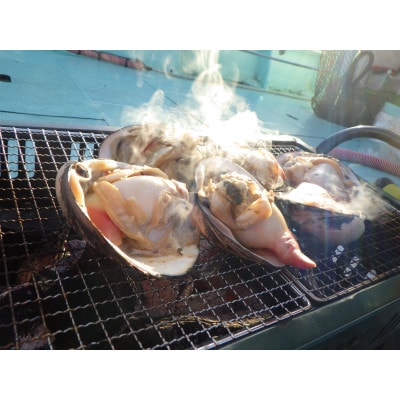 ホッキ貝15個(3～4kg)【宮城県山元町磯浜漁港直送】獲れたての大粒北寄貝をお届けします 刺身でも【配送不可地域：離島】