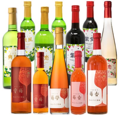 【山元いちご農園】　ワイン詰め合わせセット【配送不可地域：離島】