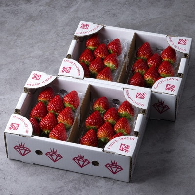 (農場直送)ミガキイチゴ・レギュラー(250g×4パック)【配送不可地域：離島】